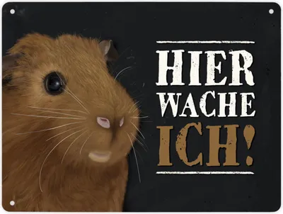 Produktbild von Hier wache ich! Metallschild XL mit Meerschweinchen Motiv Schild Blechschild
