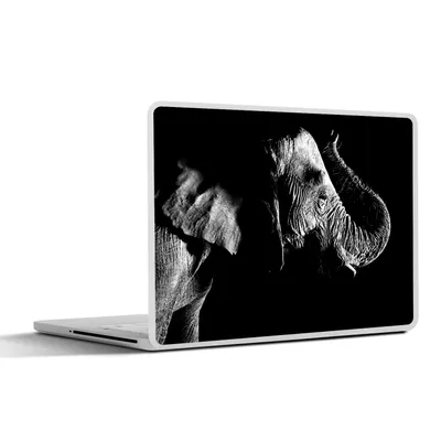 Produktbild von MuchoWow® Laptop Aufkleber Sticker Cover Elefant mit erhobenem Rüssel auf schwarzem Hintergrund - schwarz-weiß 40x30 cm - Laptop Dekoration - Selbstklebend
