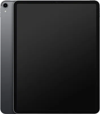 A gray iPad Pro is shown from the front and side.