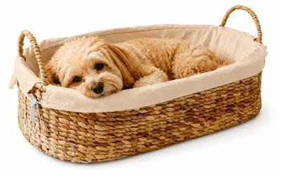 Produktbild von Hundebett aus Wasserhyazinthe 83 cm | Baumwolle Apricot | natürlicher Hundekorb für kleine & mittelgroße Hunde