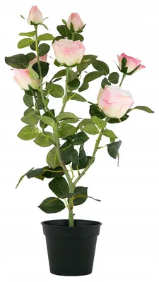 Produktbild von Künstliche Rosen im Topf, rosa