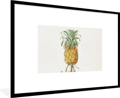 Produktbild von MuchoWow® Gerahmtes Poster Ananas - Pflanze - Lebensmittel 90x60 cm - Poster mit Schwarzem Bilderrahmen Wandposter Rahmen Foto Bilder - Wanddekoration - Fotos