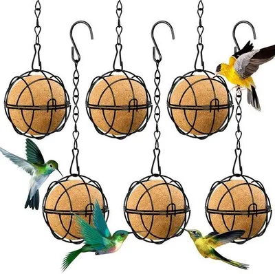 Image de Mangeoire pour oiseaux en forme de S, 6 pièces, 7 cm, support noir