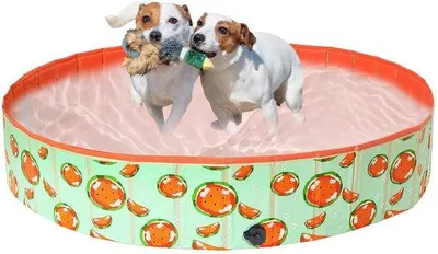Image de Bassin pour chiens portable, polyvalent, sûr, 3 tailles