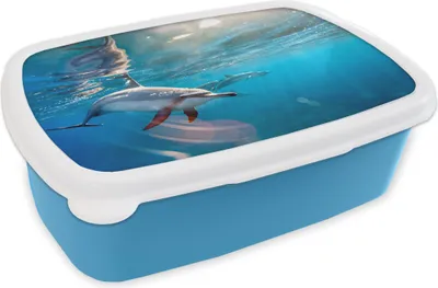 Produktbild von KitchenYeah® Lunchbox Brotzeit Brotdose 17x11 cm Delphin - Sonne - Wasser Kinder Brotzeitdose - Lunch - Kunststoff  - Brotbüchse - Sandwichbox - Lunchbox für Kinder
