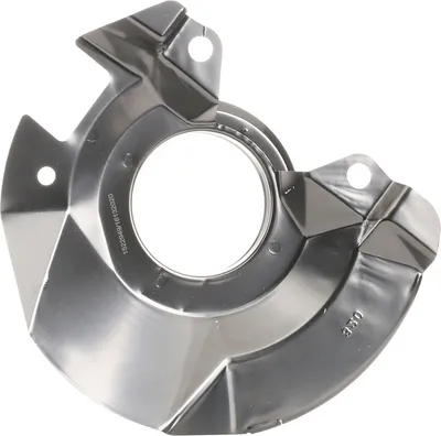 Produktbild von RIDEX Spritzblech Bremsscheibe für KIA Picanto (SA) Vorne Rechts 1330S0201 Ankerblech