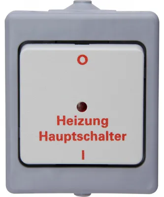 Zdjęcie produktu dla Kopp 567348009, Przyciski, Szary, Biały, Termoplastyczny, IP44, 250 V, 10 A