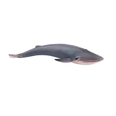 Produktbild von Toymany ML00251 Blauwal 10,4 cm Wasserwelt