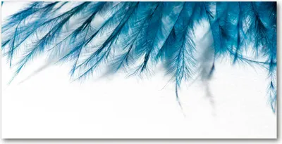 Produktbild von Tulup® Leinwandbild -100x50 cm - Wandkunst - Drucke auf Leinwand - Leinwanddruck  - Kunst: modern & klassisch - Blau - Blaue Federn