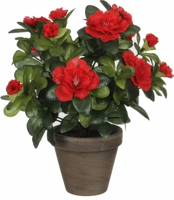 Produktbild von Mica Decorations Kunstliche Pflanze - Azalee - grun/rot - 27 cm