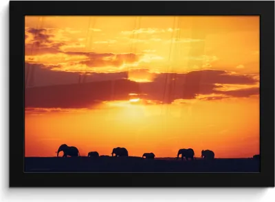 Produktbild von MuchoWow® MuchoWow® Gerahmtes Poster Elefanten - Horizont - Sonnenuntergang - Tiere 30x20 cm - Poster mit zchwarzem Bilderrahmen - Kunstdruck - Bild-Poster