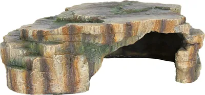 Produktbild von TRIXIE Reptilienhöhle im Regenwald Design, 24 x 8 x 17 cm
