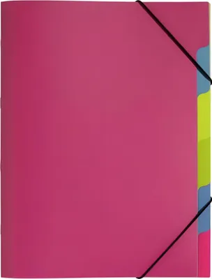 Produktbild von PAGNA Ordnungsmappe "Funky School" DIN A4 PP 5 Fächer transluzent dunkelrosa