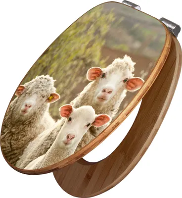Produktbild von banjado Design WC Sitz Bambus Absenkautomatik -Schaffamilie - Toilettendeckel mit Absenkautomatik Holz/hochwertiger Bambus Klodeckel/WC-Sitz für alle gängigen Toiletten [TDB2 10473]