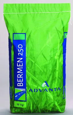 Zdjęcie produktu dla RIDINGPAD / Szkółki - Nasiona traw Advanta - Arboretum - 10 kg