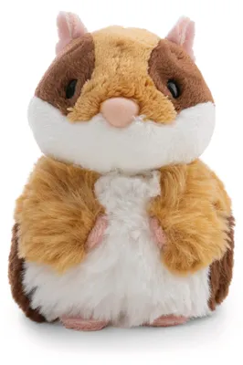 Produktbild von Nici Meerschweinchen Teddy 12 Cm Kinder One Size