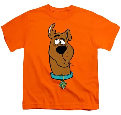 Produktbild von Scooby Doo - T-Shirt für Kinder TV36450 (140-146) (Orange)