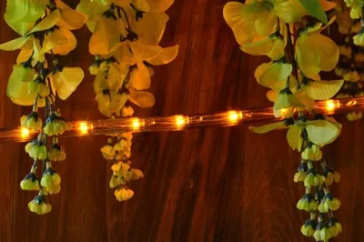 Obrázok produktu pre Svetelný kábel LED, 480 diód, 20 m, žltý
