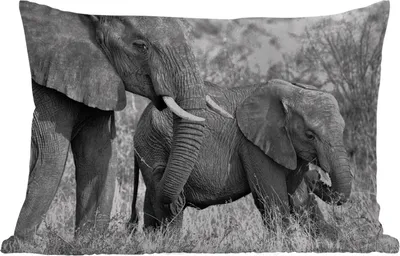 Produktbild von MuchoWow® Outdoor Kissen - Elefant - Tiere - Gras - Schwarz und weiß - 50x30 cm - Wetterfest - Lounge Kissen - Sofa kissen - Wohnzimmer Dekoration