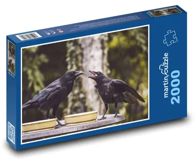 Obrázek produktu pro martinpuzzle - Puzzle 2000 - Vrány u krmítka