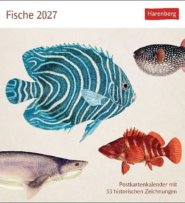 Produktbild von Fische Postkartenkalender 2027 - Postkartenkalender mit 53 historischen Zeichnungen