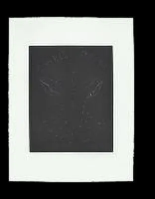 Immagine prodotto di William Shakespeare × Chris Ofili: Othello
