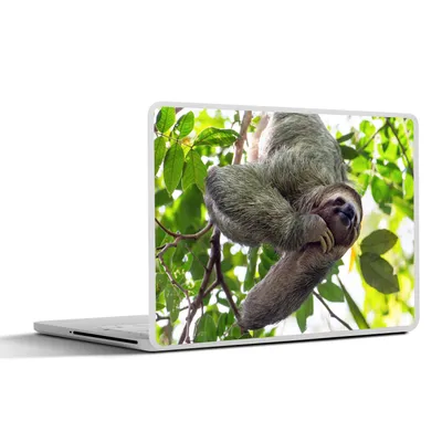Produktbild von MuchoWow® Laptop Aufkleber Sticker Cover Ein lächelndes Faultier hängt in den grünen Bäumen 31x22.5 cm - Laptop-Deko