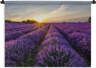 Produktbild von MuchoWow® Wandteppich Wandbehang Lavendel - Blumen - Sonnenuntergang - Lila 90x67.5 cm Tapisserie Dekoration Wandtuch - Fototeppich - Wand-Skulpturen