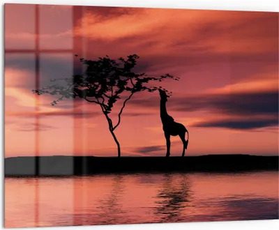 Produktbild von DEQORI Küchenrückwand Glas 80x60 cm 'Sonnenuntergangssafari' Spritzschutz Bad Rückwand Küche