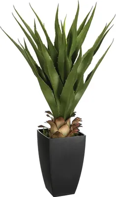 Produktbild von Atmosphera Agave Rect Kunstliche Pflanze - im Zementtopf - 73 cm