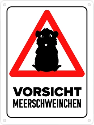 Produktbild von Vorsicht Meerschweinchen Metallschild in 15x20 cm mit Meerschweinchen Silhouette