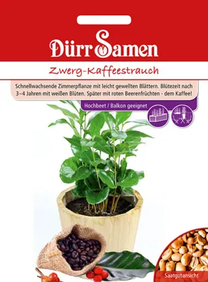Produktbild von Dürr-Samen - Zwerg-Kaffeestrauch - Saatgut - 4377