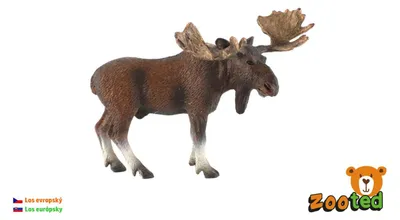 Produktbild von Europäischer Elch, Zooteed, Kunststoff, 13 cm