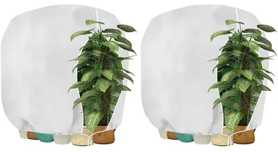 Produktbild von Pflanzen Winterschutzhaube mit Reißverschluss 200 x 240 cm Weiß 2 Stück