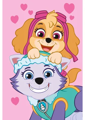Imagen del producto de Manta de forro polar Paw Patrol, 100 x 150 cm, suave manta para niños