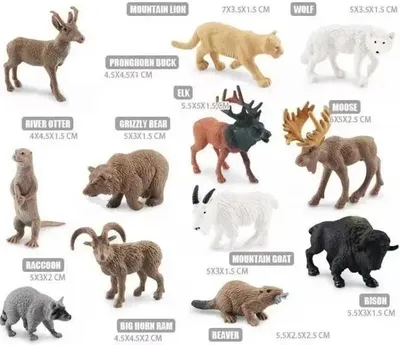 Immagine prodotto di Set di animali selvatici del Nord America