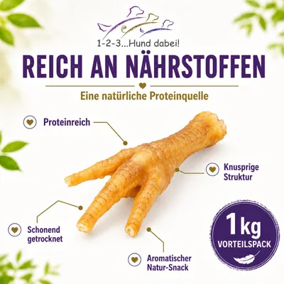 Produktbild von 123… Hund dabei! - Getrocknete Hühnerfüße für Hunde – Natürlicher Kausnack zur Zahnpflege, ohne Zusatzstoffe, proteinreich & gut verdaulich, Beschäftigung für alle Hunderassen & Altersklassen