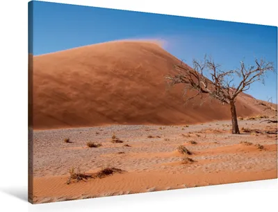 Produktbild von Calvendo  Textil-Leinwand 90 cm x 60 cm quer Ein Motiv aus dem Kalender Namibia - Atemberaubende Landschaften und Impressionen, Härlein Peter; 7438484