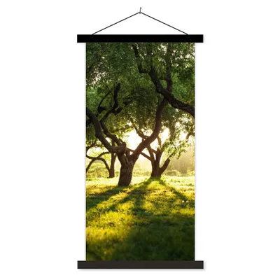 Produktbild von MuchoWow® Textilposter Bäume - Natur - Sonne 90x180 cm mit schwarzem Rahmen - Dekoration Wohnzimmer