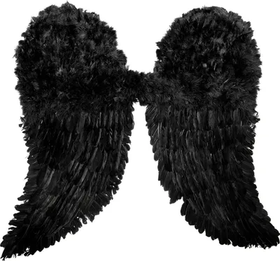 Produktbild von Schwarze Feder Flügel - für Fasching und Halloween