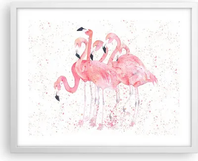 Produktbild von Gerahmtes Poster - Weißer Rahmen - Flamingo Vogel Wasser - 50x40 cm - Wand Bild - Wanddeko - Wandbilder - Kunstposter - Wandposter - Bilderrahmen - Bilder - Kunstdruck - Wandbild - P2WAA50x40-3899