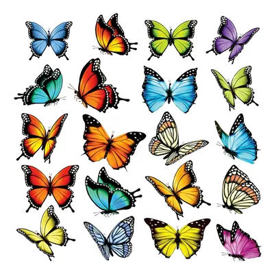 Produktbild von AG Design Wandstickers Schmetterlinge, 30 x 30 cm
