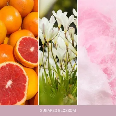 Produktbild von YANKEE CANDLE Home Inspiration Sugared Blossom 90ml