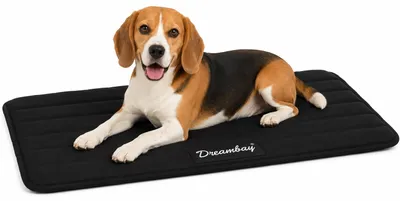 Immagine prodotto di Cuccia per cani Flamingo - lettino ortopedico per gatti Dreambay® nero - Comfortevole