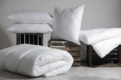 Obrázek produktu pro Belledorm - polštář "Hotel" BM505 (66 cm x 66 cm) (bílý)