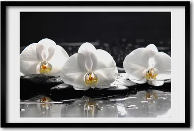 Produktbild von Bild 60x40 MDF-Rahmen, Wandkunst Orchidee