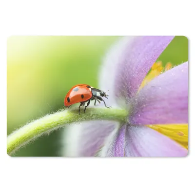 Produktbild von MuchoWow® Mauspad Mousepad Marienkäfer auf einer Blume 27x18 cm - Mousepads - Maus Mat - Pad - Mausunterlage - Büroartikel - Desk Matten
