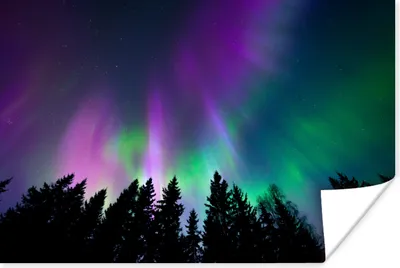Produktbild von MuchoWow® Poster Nordlichter - Himmel - Nacht - Baum 60x40 cm - Schlafzimmerdekoration