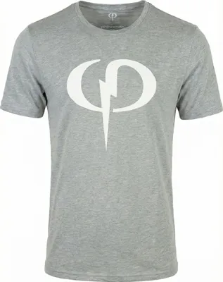 Produktbild von Herren-T-Shirt Phinomen Big Logo Grau Größe: XL