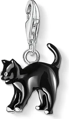 Produktbild von Thomas Sabo Schwarze Katze 0701-007-11 Charm Anhänger
